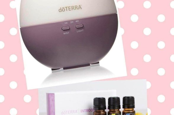 336542259_216122791013982_4152888145359888290_n