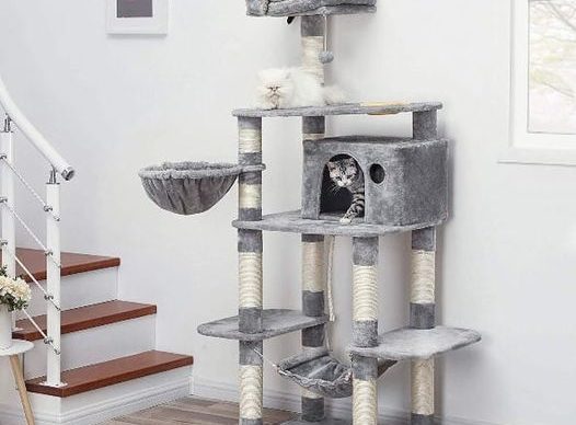 337356856_3456341804645372_249614977501254853_n