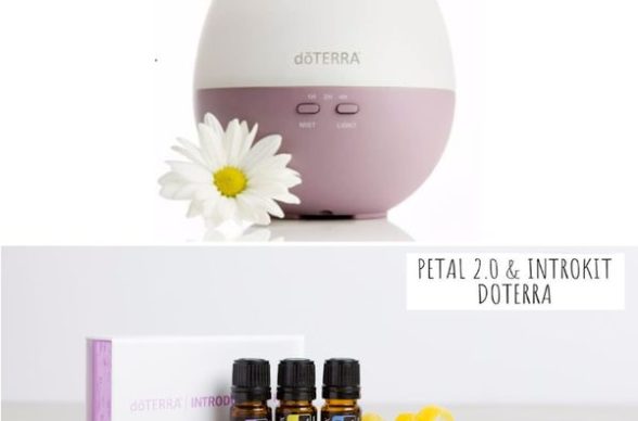 341352484_643348790954697_3790085095483943035_n