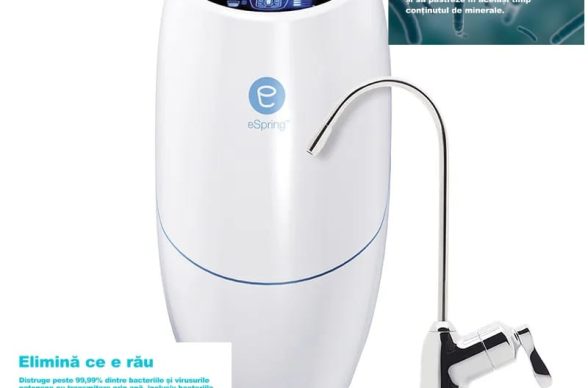 356090840_6251488571632008_6513219484231015374_n