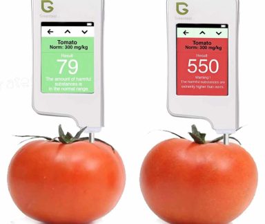 380808159_870466757831476_5946162540521195253_n