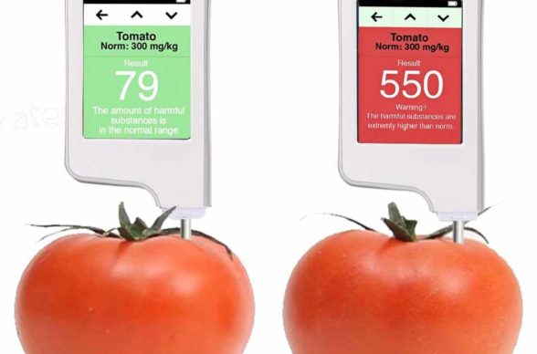 380808159_870466757831476_5946162540521195253_n