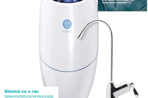 386108477_6610835429030652_1085209095515349883_n