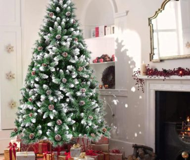 387863666_6731923816866058_4197509719480792468_n