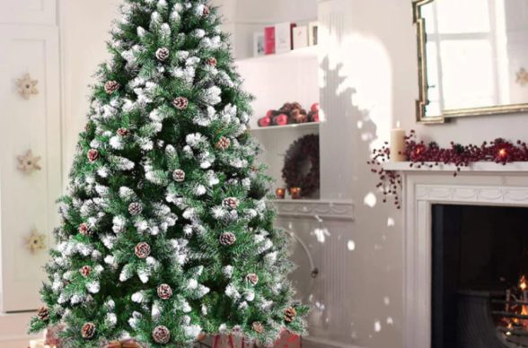 387863666_6731923816866058_4197509719480792468_n