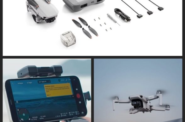 392923485_6655441941236667_8669506983240843941_n