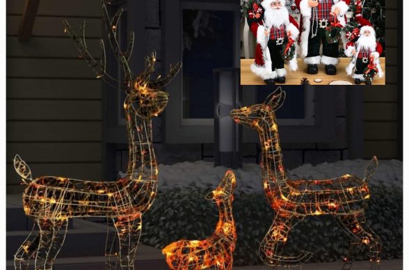 403728514_6750948495019344_3780570690086057841_n