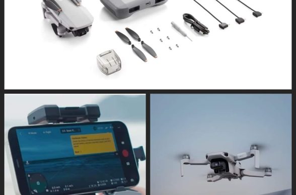 406025501_6785298528251007_2053992249324565676_n