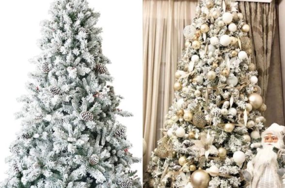 Captură de ecran 2023-11-08 113454