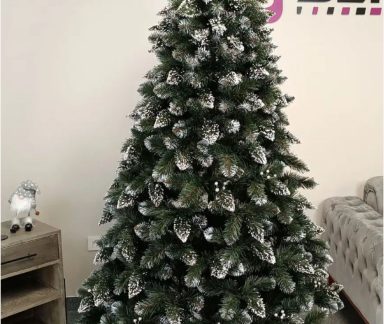 562348900_24868937119404784_8972824239080119648_n