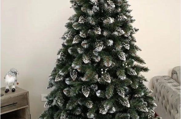 562348900_24868937119404784_8972824239080119648_n