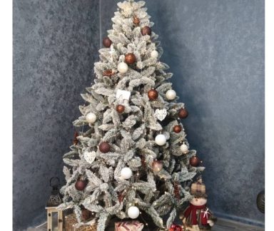 WhatsApp Image 2025-11-14 at 14.06.40_b3a617ba