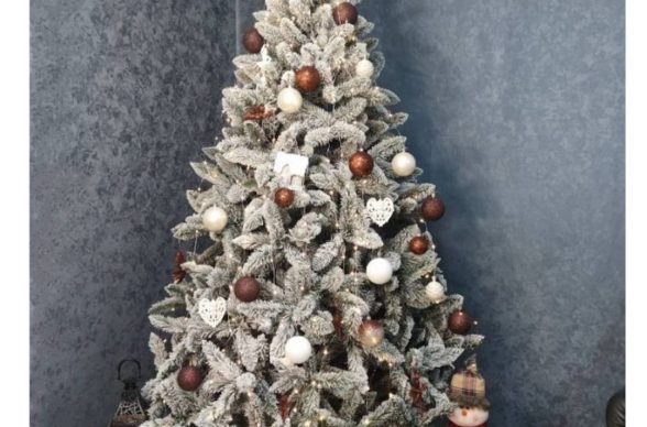 WhatsApp Image 2025-11-14 at 14.06.40_b3a617ba