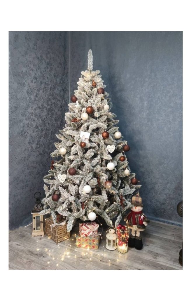 WhatsApp Image 2025-11-14 at 14.06.40_b3a617ba